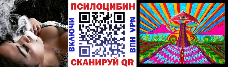 Псилоцибиновые грибы мицелий  Шебекино 