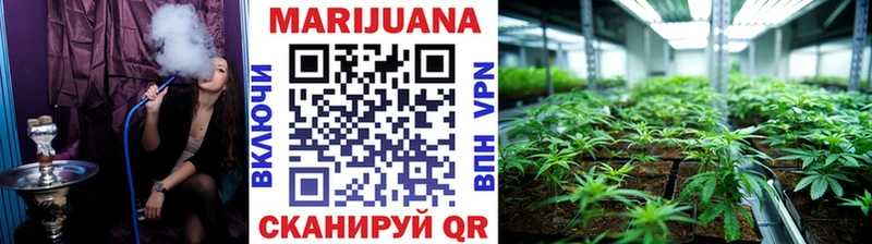 Канабис сатива  Шебекино 